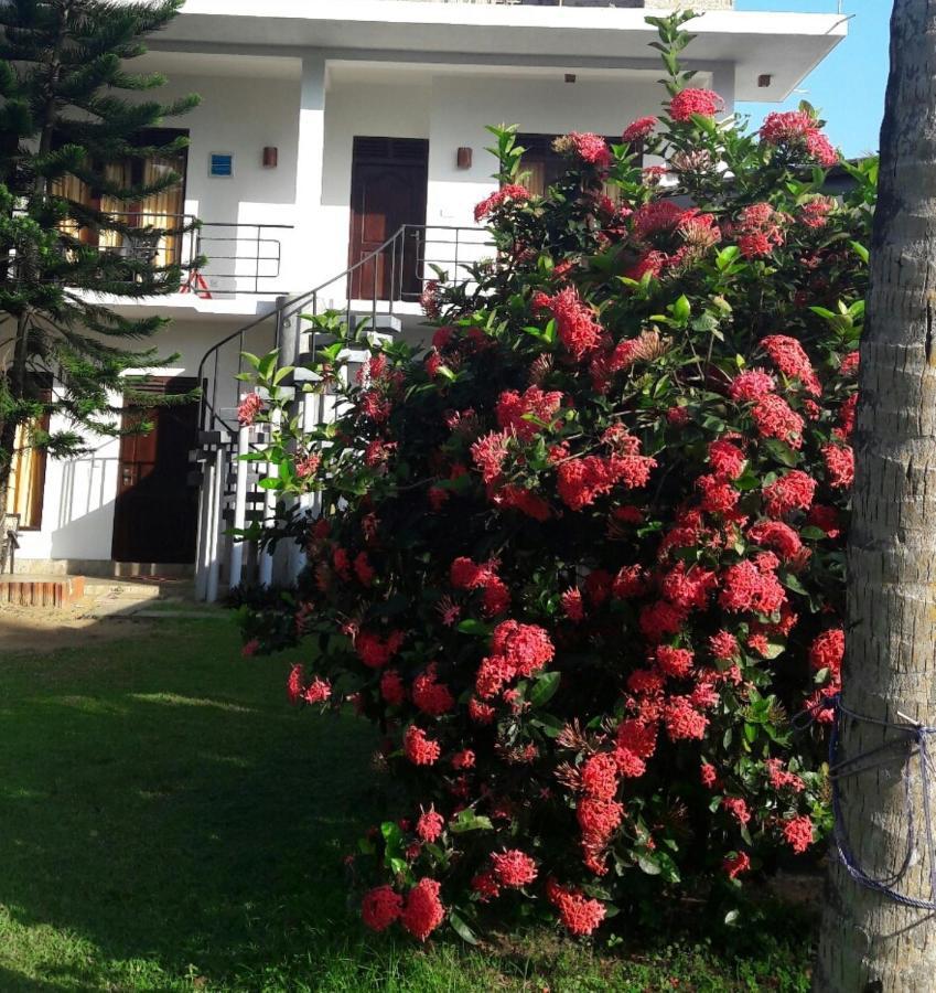 Dreamvillage Dodanduwa Exterior foto