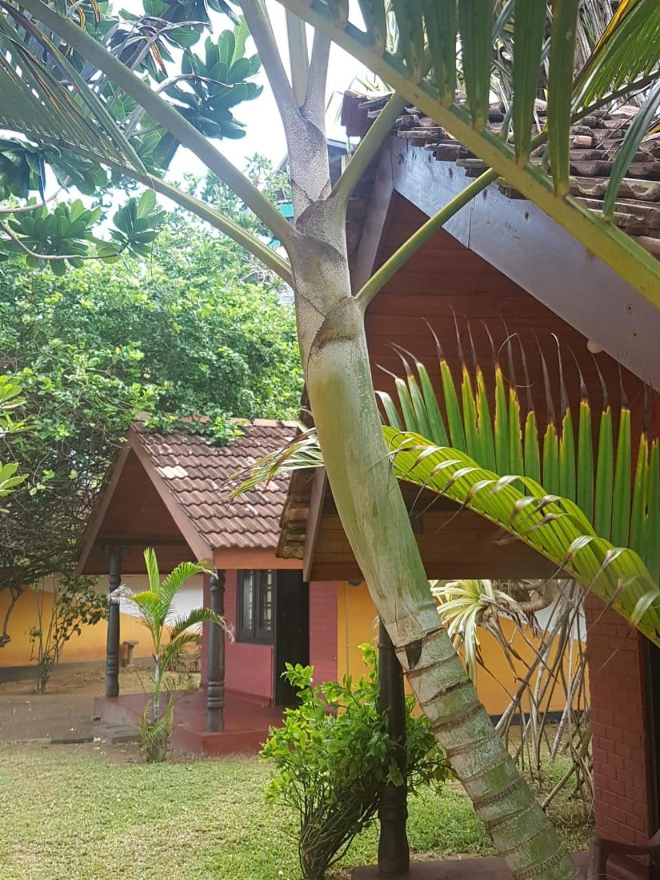Dreamvillage Dodanduwa Exterior foto